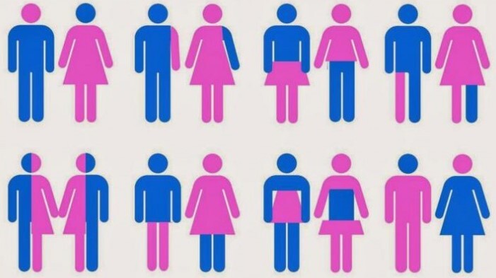 LPCX : Les Petits Cailloux font Genre