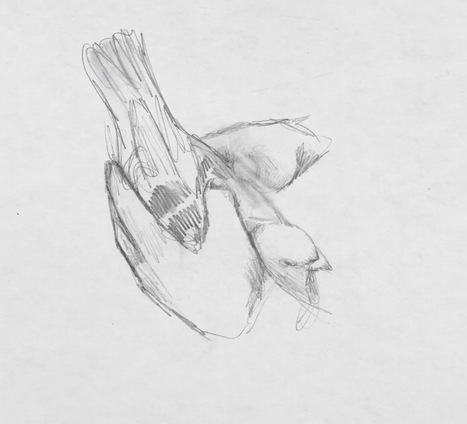 Récréation sonore