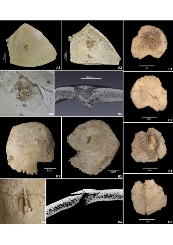 LPCX : Roman noir de l’été – Massacre dans les Pyrénées Orientales