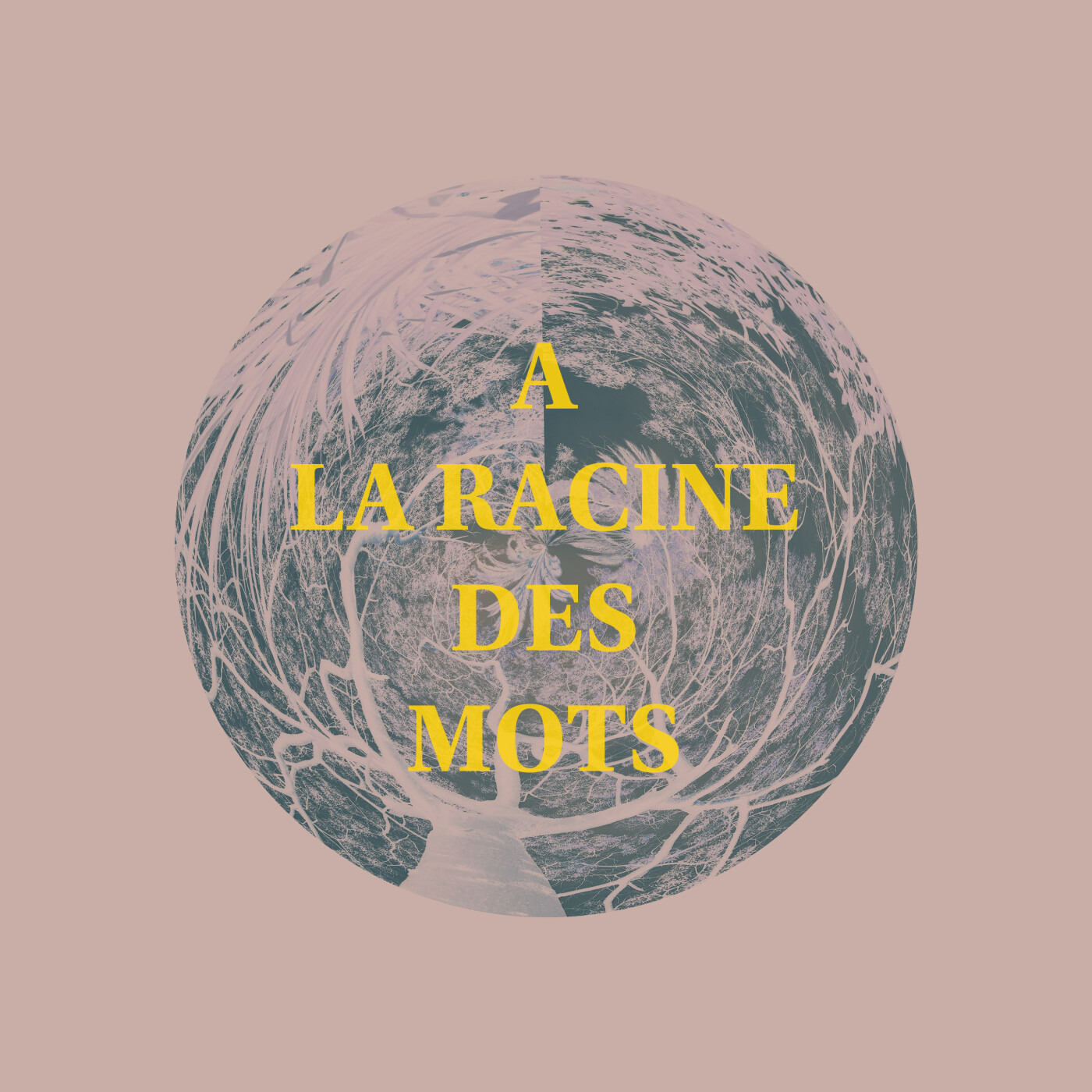 Episode 10 :  Energie et Ecologie episode artwork