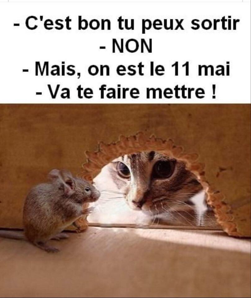 23/04 : comme un mariage de boomers