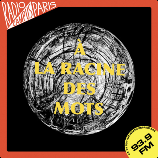Episode 7 : Festival et Ecologie episode artwork