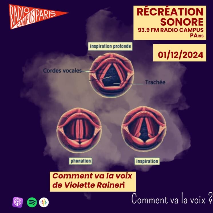 Récréation sonore