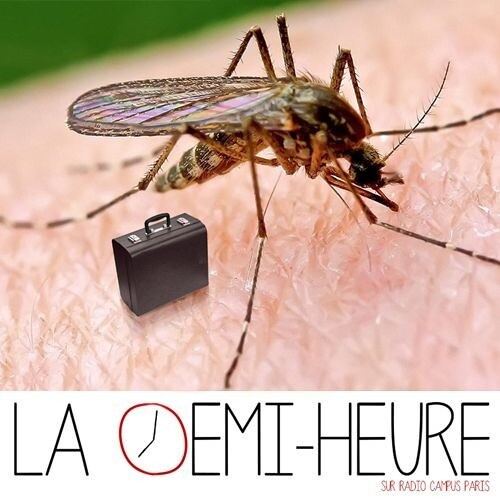 La demi-heure : Le profiteur et l'inégalité episode artwork