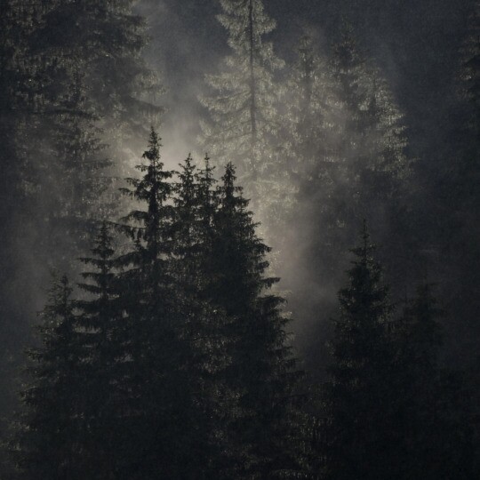 Amplitudes
