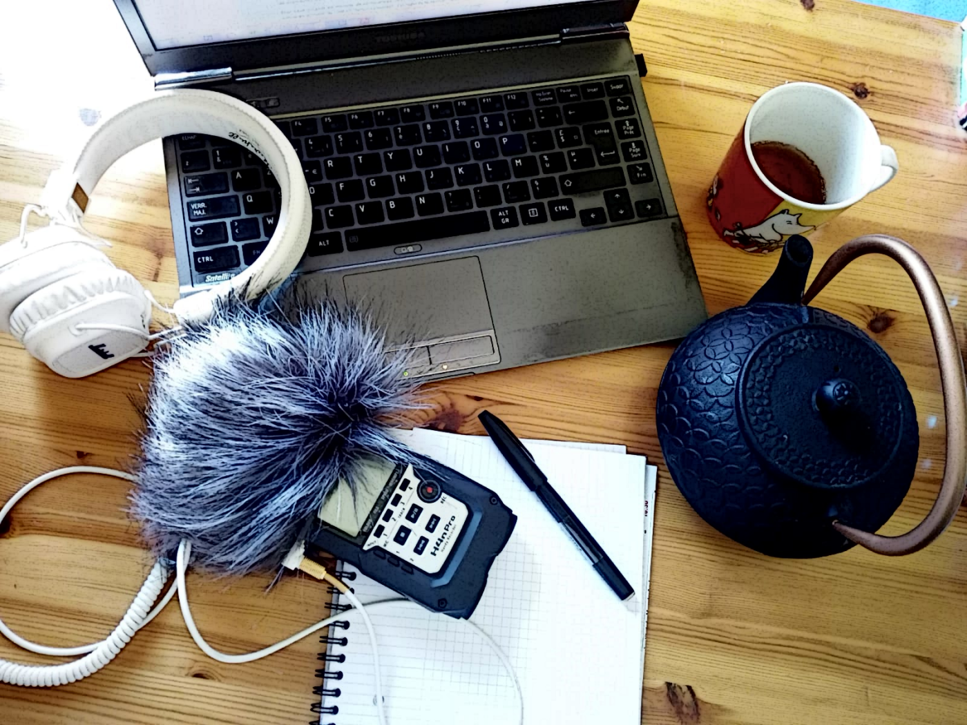 LPCX : Les petits cailloux n'ont pas de logement secondaire en province