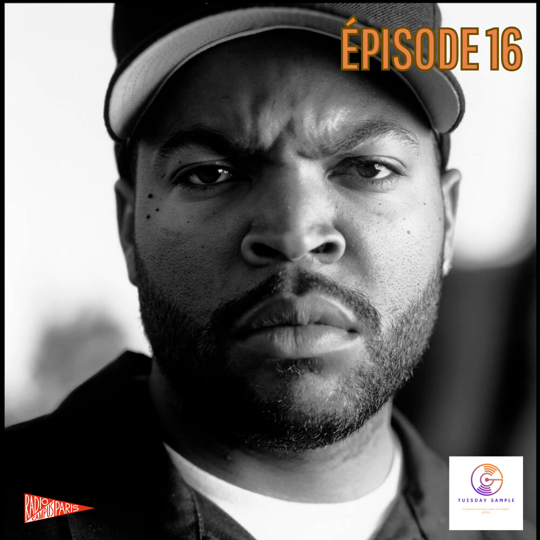 Tuesday Sample 16 (Ice Cube-Brick) episode artwork