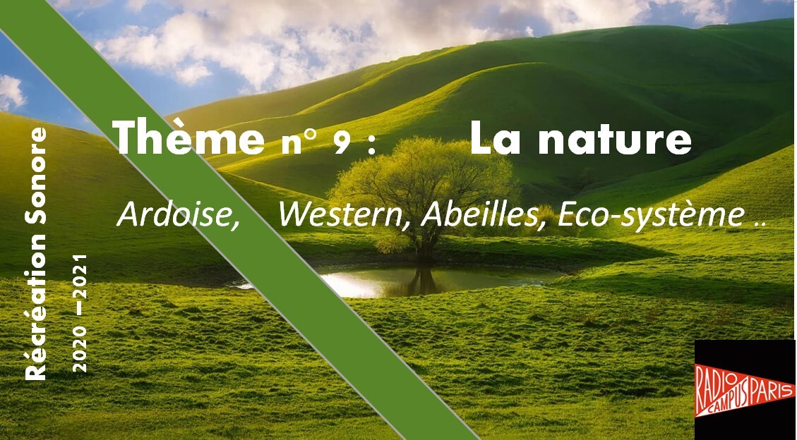 Récréation sonore