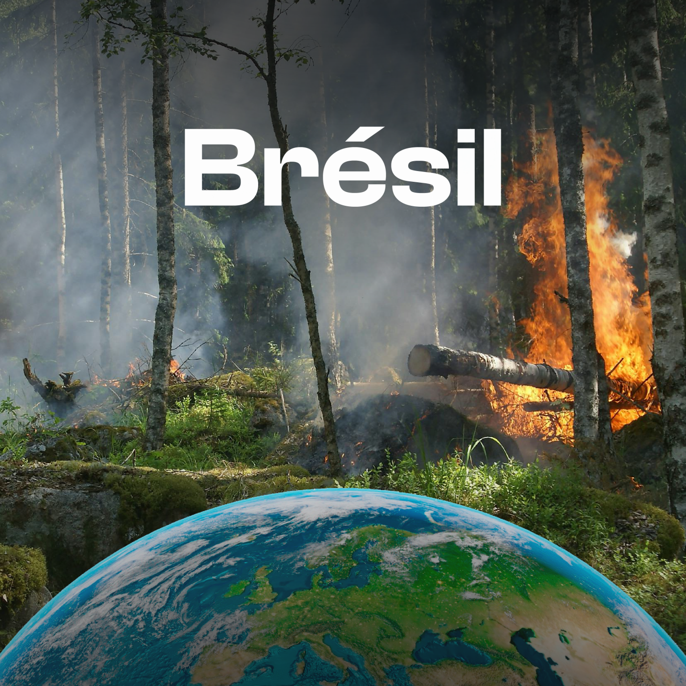 Emission 2 - Brésil, le géant sud-américain face au monde