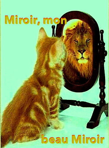 Mercredi !