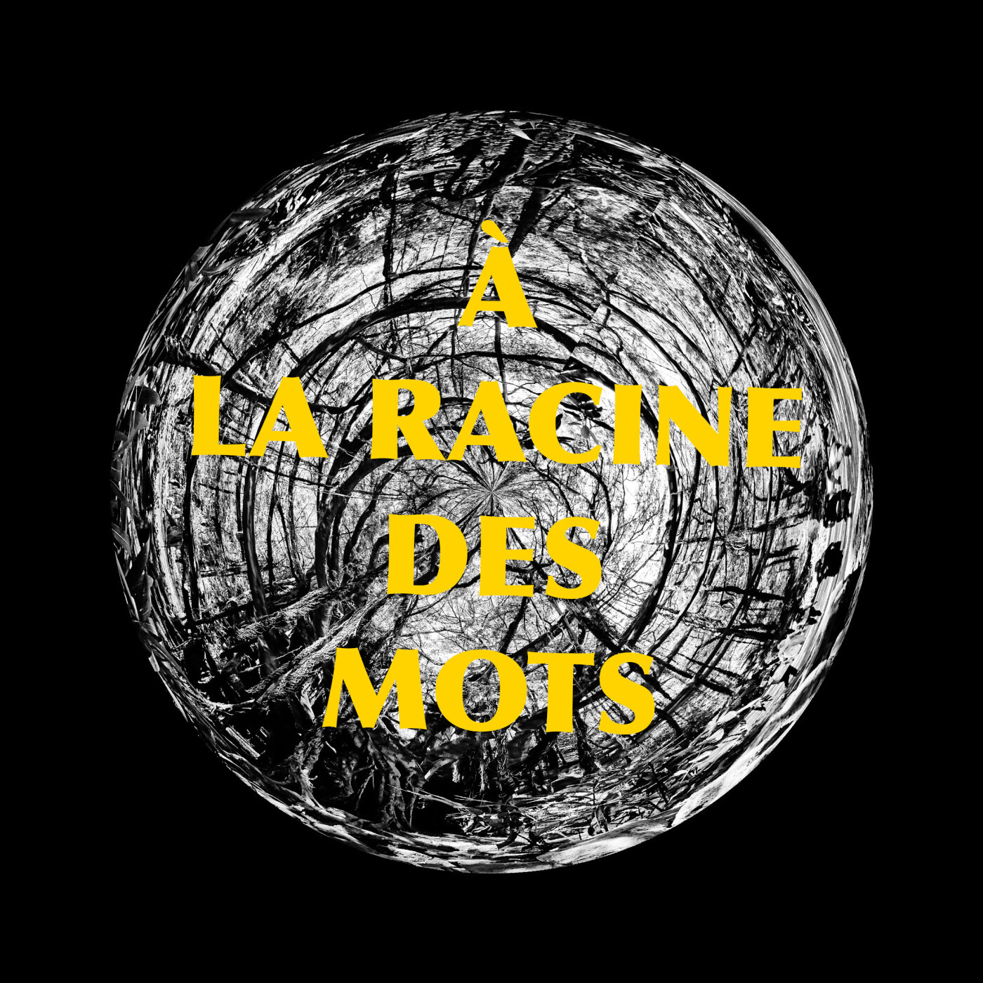 Episode 5 : Guerre et écologie episode artwork